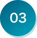 03